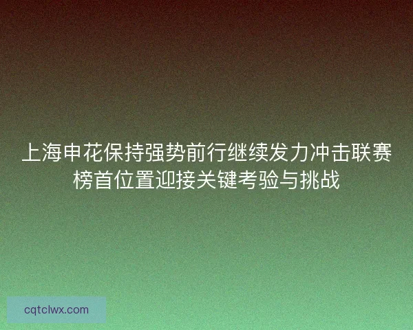 上海申花保持强势前行继续发力冲击联赛榜首位置迎接关键考验与挑战