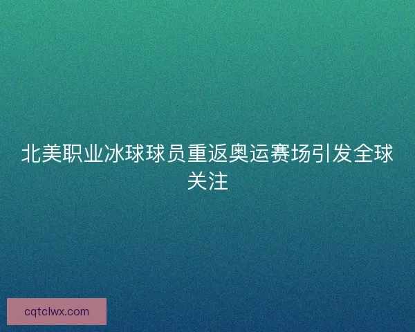 北美职业冰球球员重返奥运赛场引发全球关注